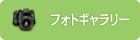フォトギャラリー