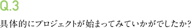 Q.3 具体的にプロジェクトが始まってみていかがでしたか?
