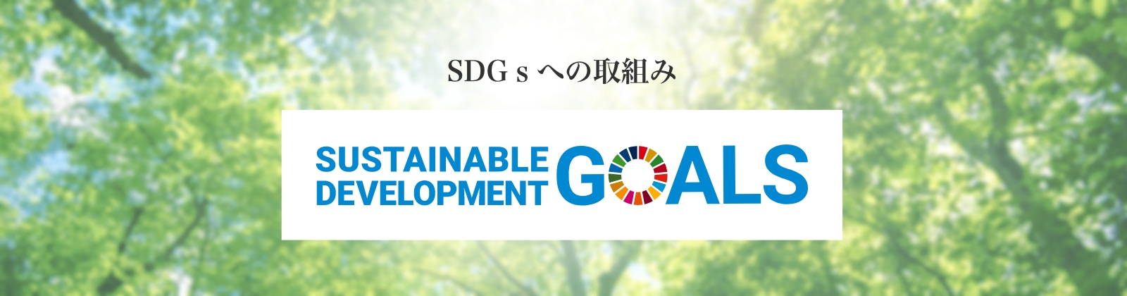 SDGs