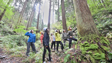 地球環境を守り、未来につながる上手な木材活用の推進を目指す 「木の守プロジェクト」