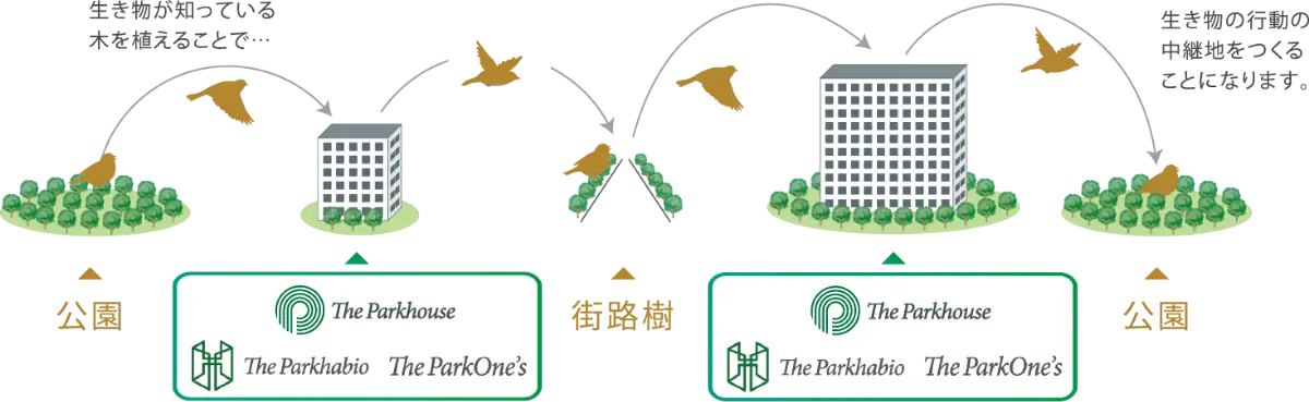 ビオ ネット イニシアチブ概要図