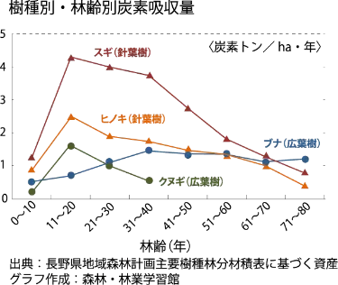 樹種別・林齢別炭素吸収量
